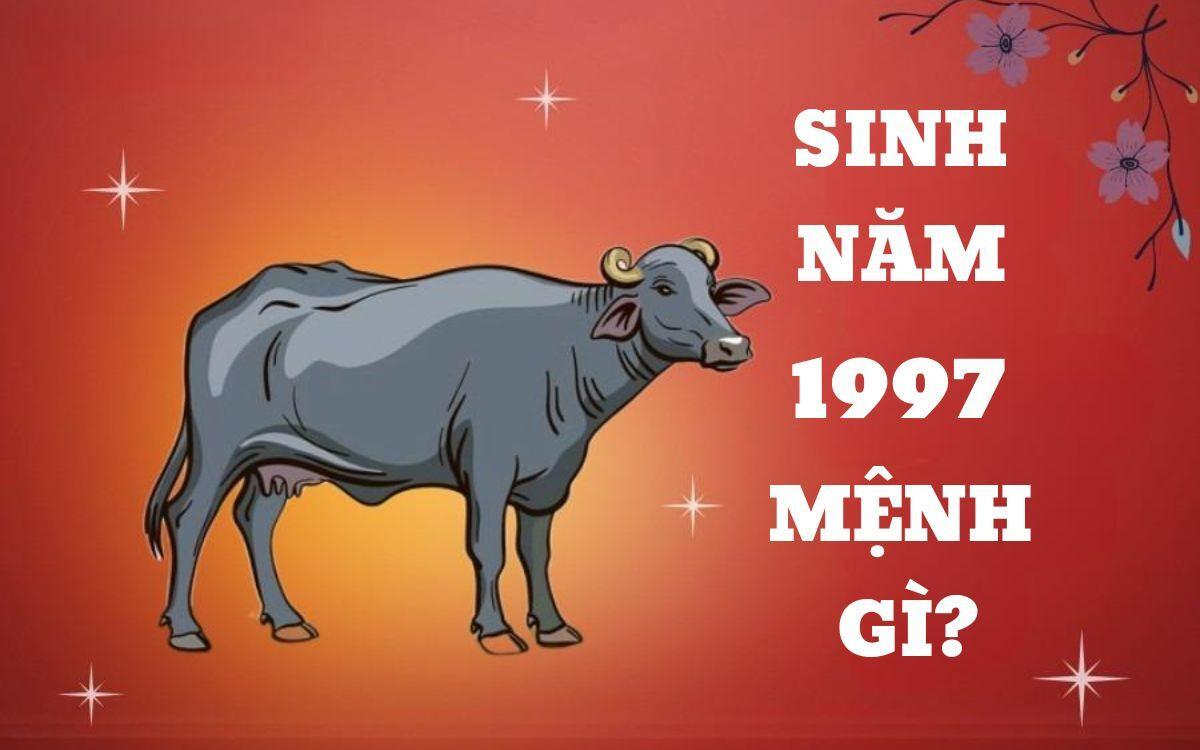 Sinh năm 1997 mệnh gì? Nam, nữ mạng Đinh Sửu mang mệnh Thủy, đặc trưng cho tính cách đa sầu đa cảm và khó nắm bắt