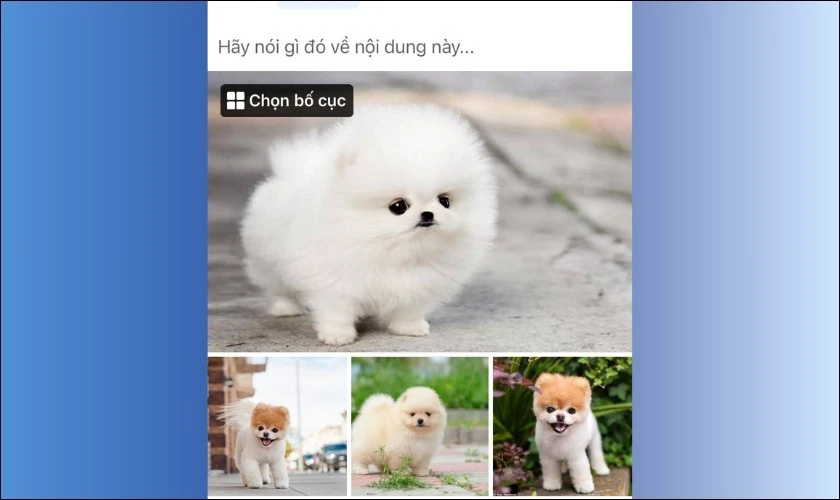 Cách đăng ảnh Facebook theo bố cục tăng tương tác