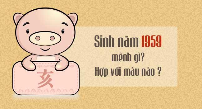 Tuổi kỷ hợi sinh năm 1959 mệnh gì và hợp với những màu nào