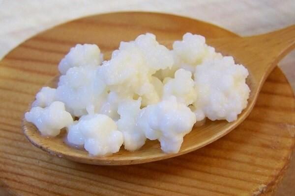 Kefir là gì? Tất tần tật những điều chưa biết về nấm sữa kefir