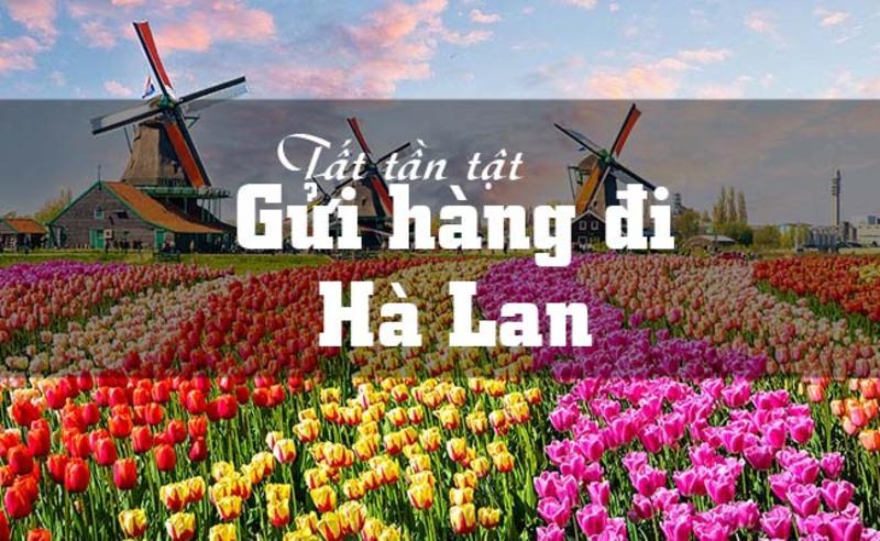 Netherlands là nước nào? Thủ đô là gì? Vị trí ở đâu? Thuộc châu nào?