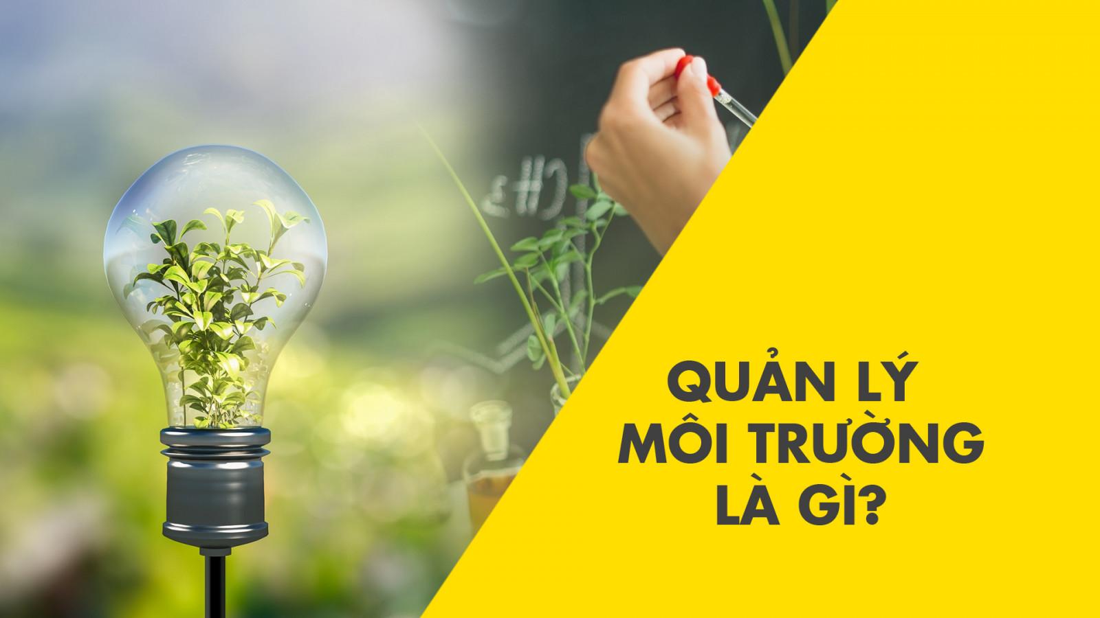 Quản lý môi trường là gì? Công cụ quản lý môi trường gồm những gì? - Ảnh 1