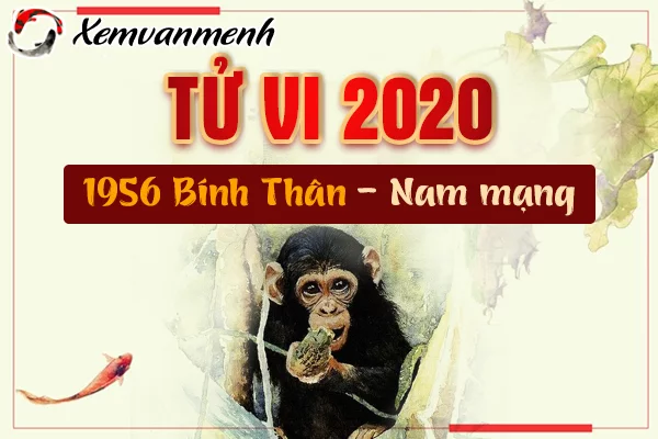 Xem tử vi 2020 tuổi Bính Thân 1956 nam mạng