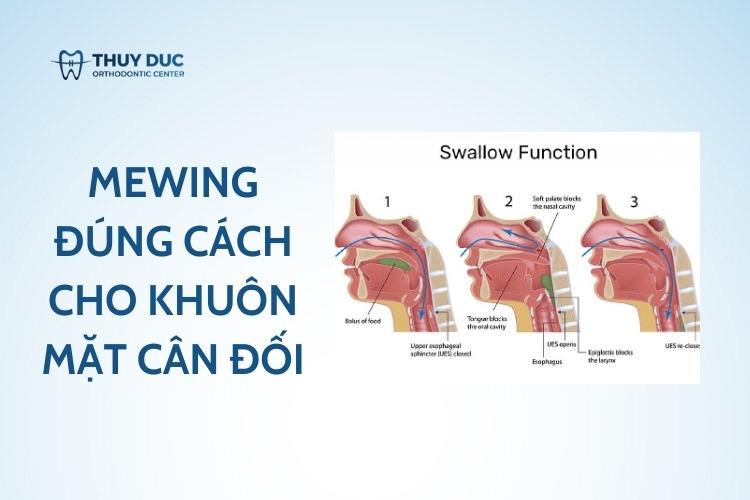 Khám phá mewing đúng cách cho khuôn mặt cân đối