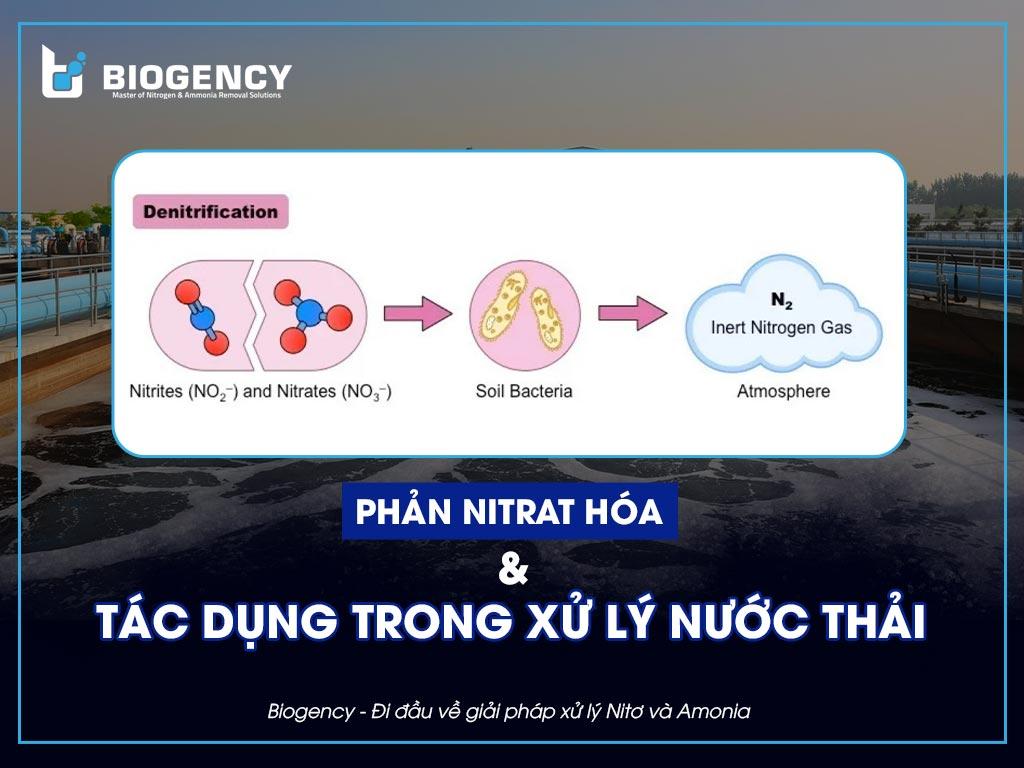 Quá trình Phản Nitrat hóa và tác dụng của nó trong xử lý nước thải