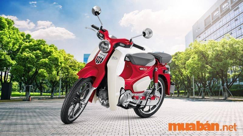 Mua Bán Xe Honda Cub Cũ Bình Dương Giá Rẻ, Uy Tín T11/2024