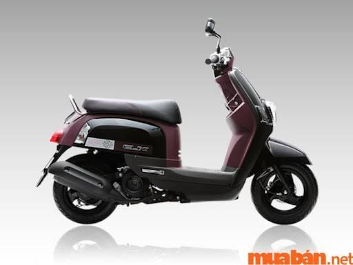 Mua Bán Xe Máy Yamaha Cuxi Cũ Giá Rẻ, Uy Tín T11/2024