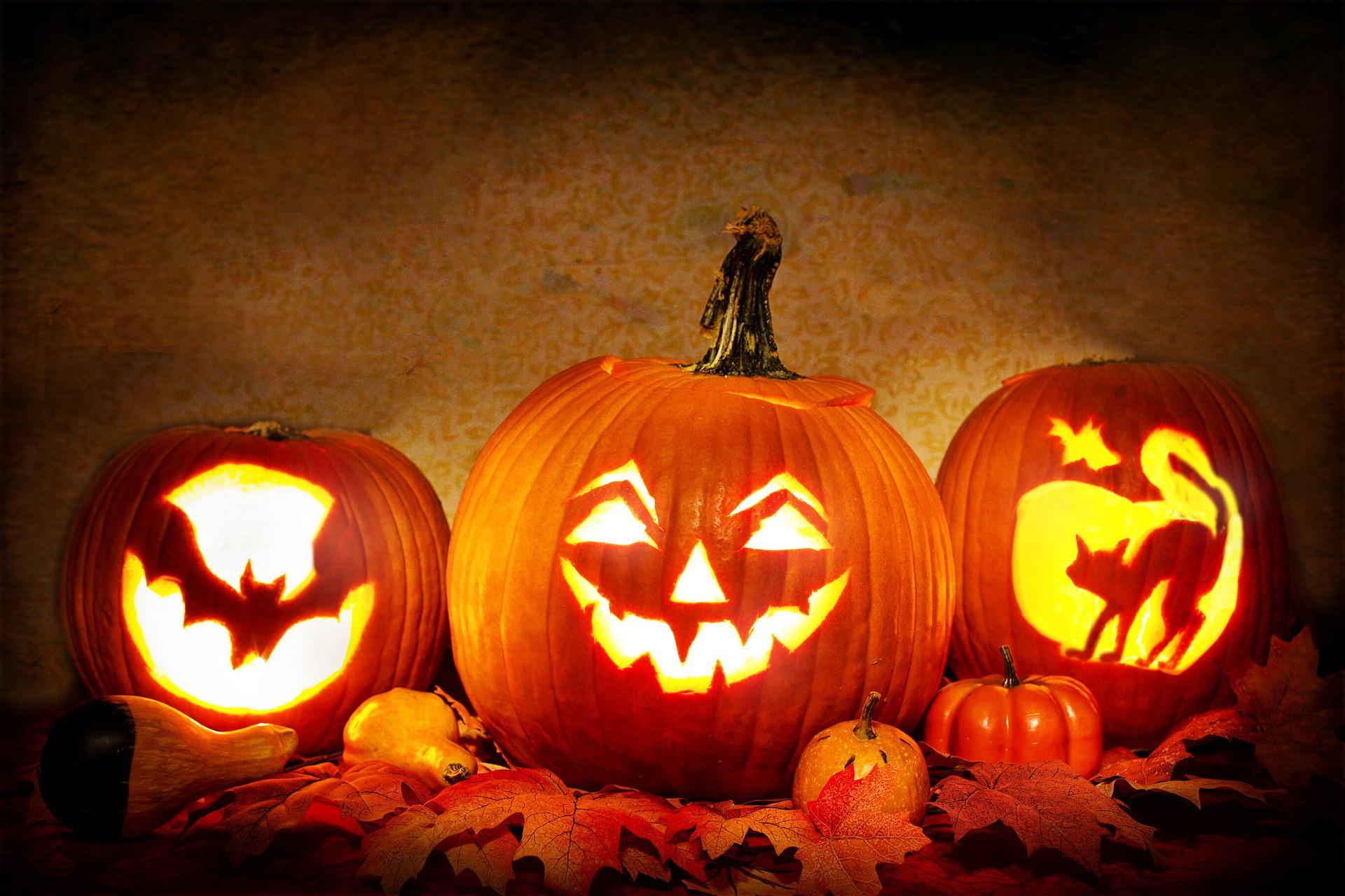 Nguồn gốc và ý nghĩa quả bí ngô Halloween