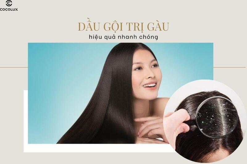 REVIEW CHÂN THỰC top 5+ dầu gội trị gàu được yêu thích nhất