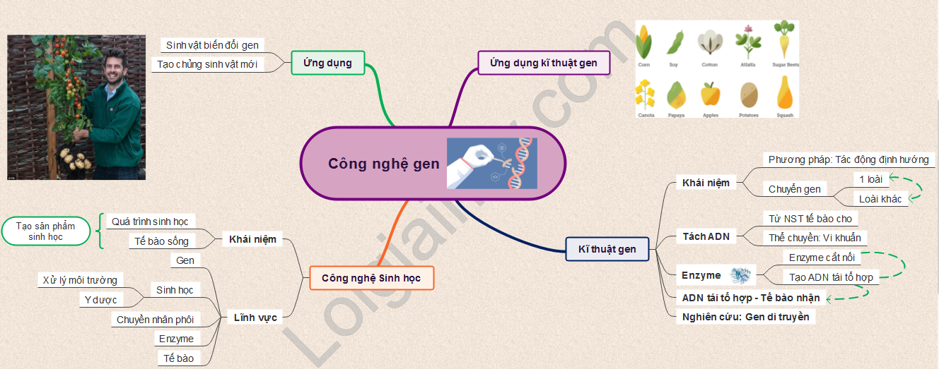 Ứng dụng công nghệ gen