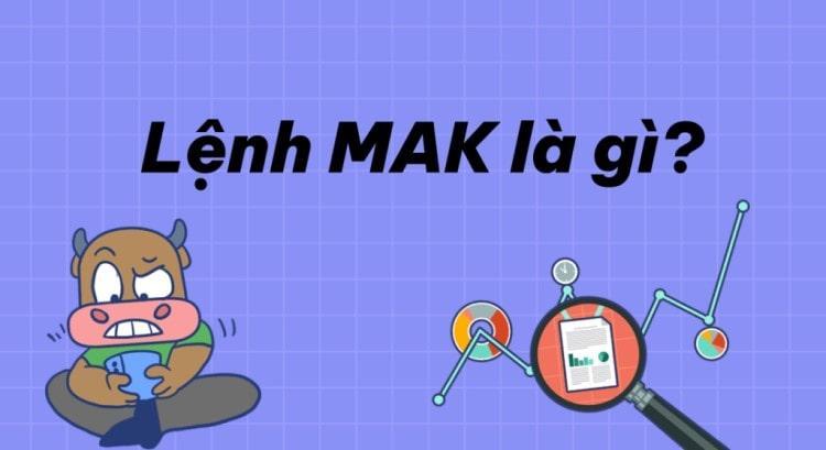 Lệnh MAK trong chứng khoán là gì? Nguyên tắc của lệnh MAK