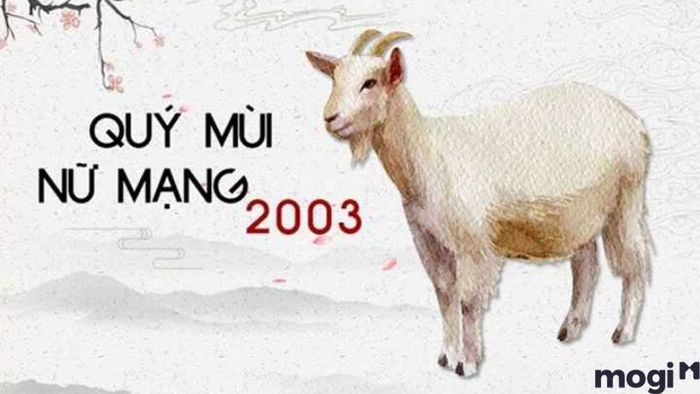 Giải Mã Tình Duyên Quý Mùi: Nữ 2003 Nên Kết Hôn Với Nam Tuổi Nào Để Tốt Nhất?