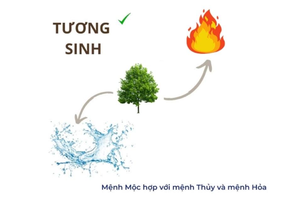 Người mệnh Mộc hợp với người mệnh Thủy và mệnh Hỏa nhất. (Ảnh minh họa)