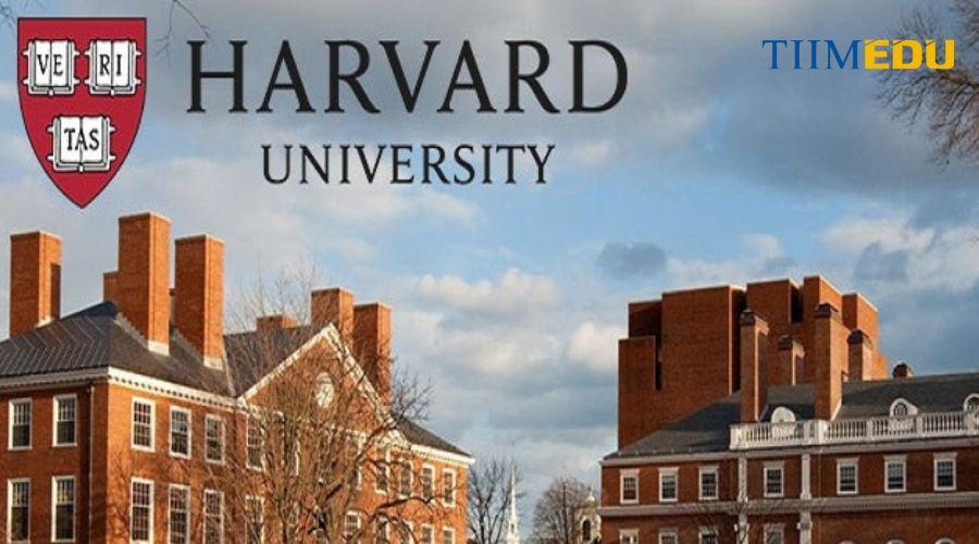 Trường đại học Harvard: Điều kiện, chi phí, học bổng