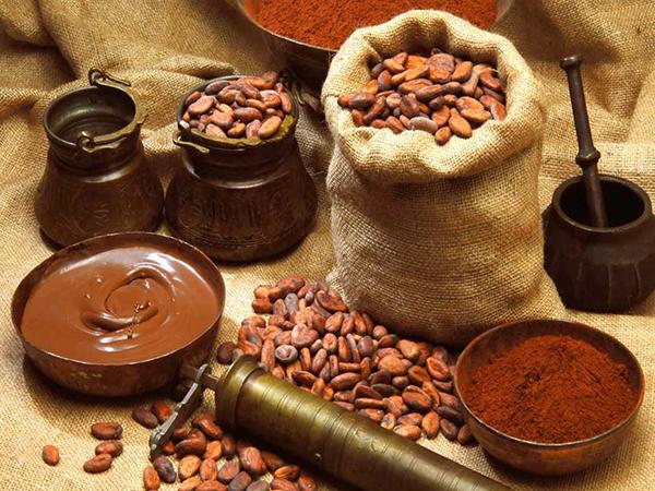 Uống cacao có bị tăng cân không? Câu trả lời khiến bạn phải bất ngờ