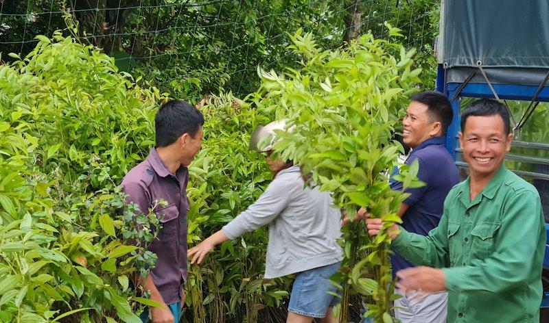 Tại sao cần phục hồi hệ sinh thái rừng? | Trung tâm Con người và Thiên nhiên