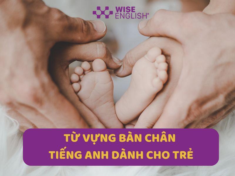 [FULL] TỪ VỰNG BÀN CHÂN TIẾNG ANH DÀNH CHO TRẺ