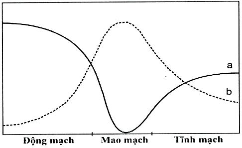 TUẦN HOÀN Ở ĐỘNG VẬT - [Trắc nghiệm Sinh 11]

Chia sẻ