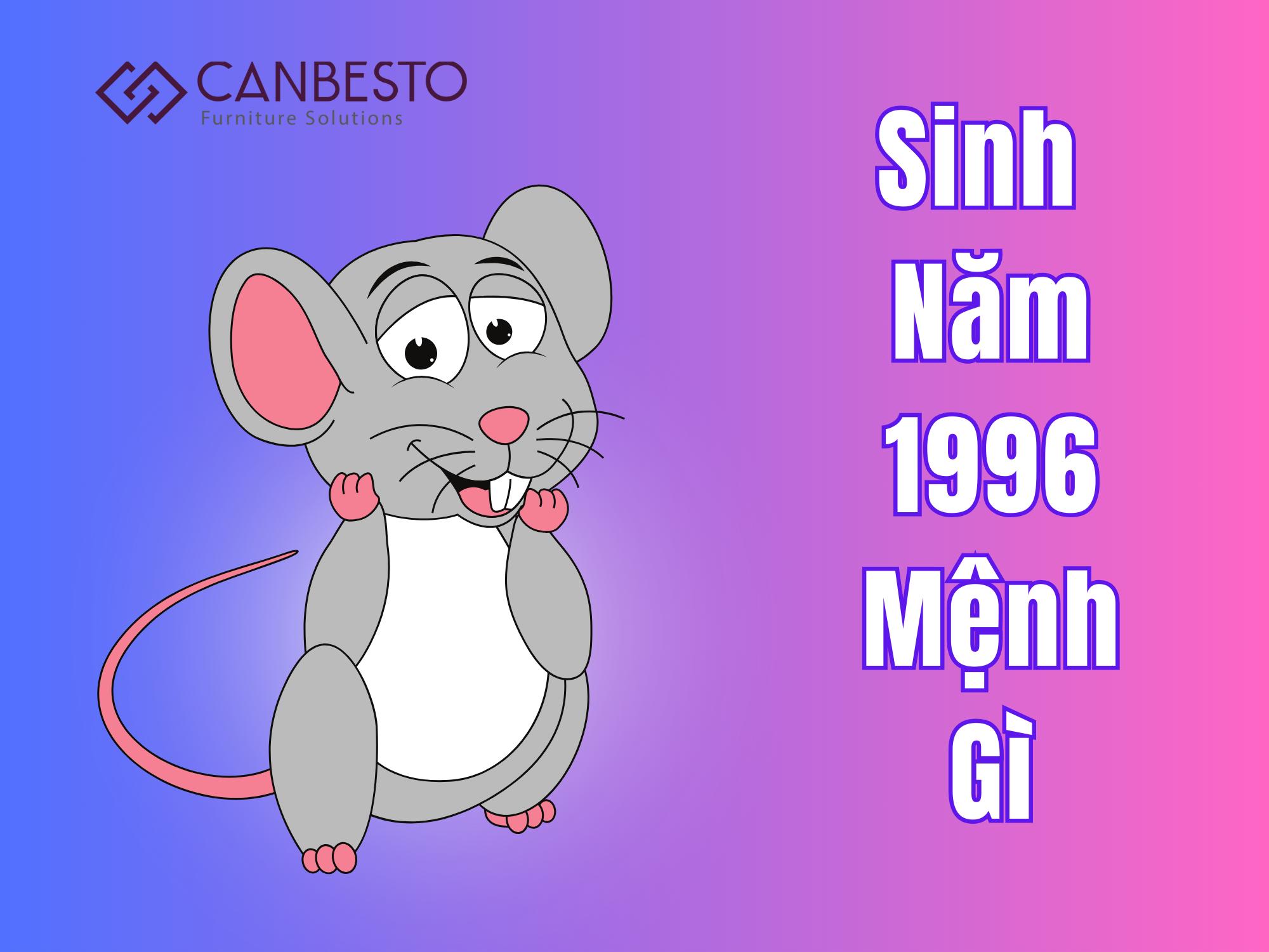 Sinh Năm 1996 Mệnh Gì