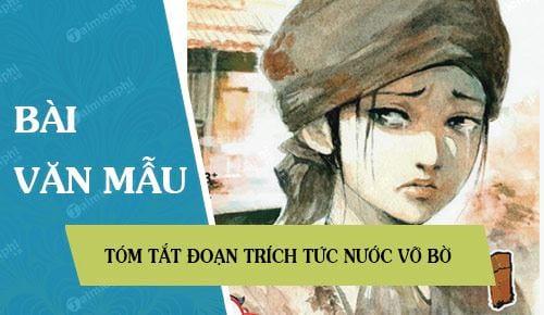 Tóm tắt đoạn trích Tức nước vỡ bờ